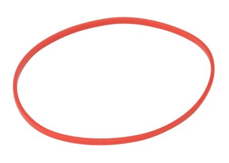 S386550097