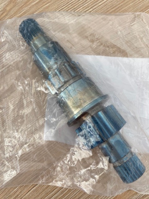 S381850004